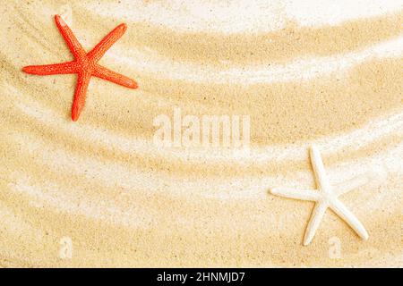 Red and white starfishes on a sandy background. Creative beach vacation background concept. Stock Photo