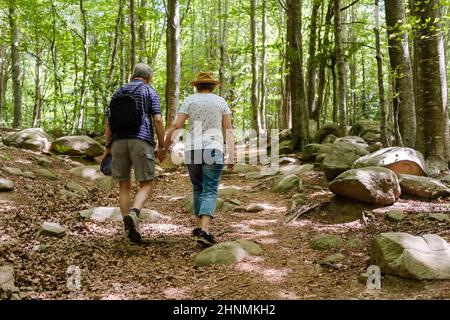 Healthy senior couple walking in a beautiful, sunny forest in summer; concept: active retirement, healthy lifestyle Stock Photo