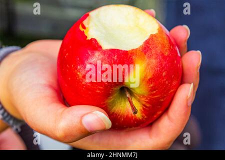 Red bitten off apple in hand in Norway. Stock Photo
