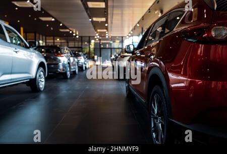 Rearview car parked in luxury showroom. Car dealership office. New car parked in modern showroom. Car for sale and rent business concept. Automobile leasing and insurance concept. Electric automobile. Stock Photo