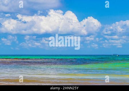 Boats yachts between Cozumel island and Playa del Carmen Mexico. Stock Photo