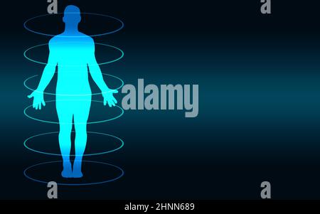 Human body medical scan on a blue background,3D rendering Stock Photo