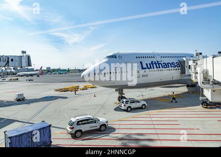 Lufthansa aircraft  parking at the terminal of  Boston Logan international airport Stock Photo