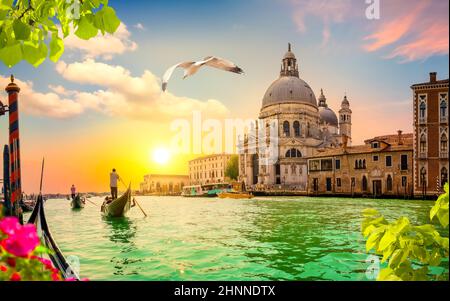 Gondolas along the Grand Canal Stock Photo