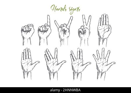 Vector hand drawn Hand signs concept sketch. Set of human palms