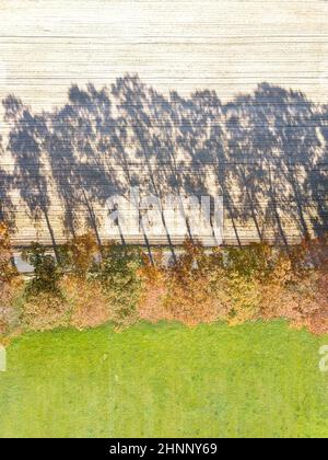 Foliage on farm edge, Gorssel, The Netherlands Stock Photo