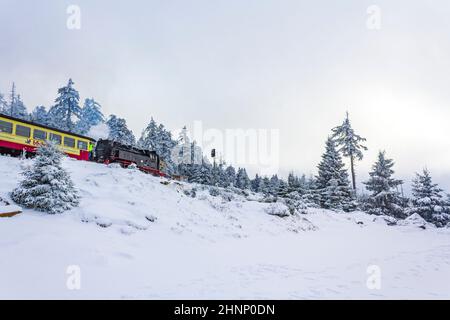 Steaming Brocken Railway locomotive in winter landscape Brocken Harz Germany. Stock Photo