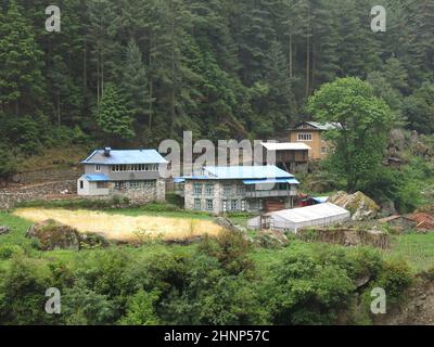 Houses and forest on the way from Lukla to Namche Bazaar, Nepal. Stock Photo