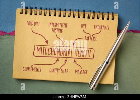 mitochondrial health concept - text and sketch in a notebook, healthy lifestyle and aging Stock Photo