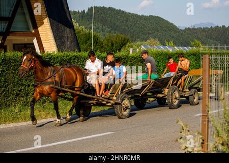 horse carriage in a village in romania Stock Photo