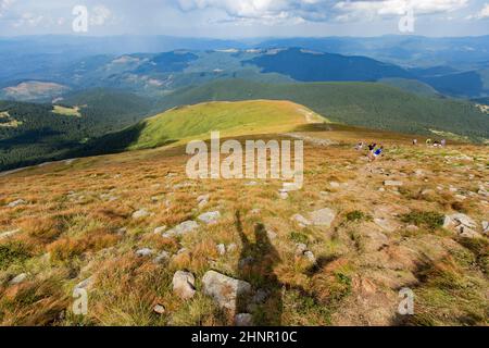White clouds on a Blue sky over a large green meadow Stock Photo