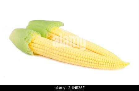 Baby sweet corn isolated on white background. Stock Photo