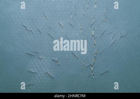Rubber texture with cracks and scratches close up Stock Photo