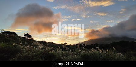 Qingtiangang, Taiwan-Oct 15, 2021: The natural source of alpine grasses is at Shangshan in Taipei City, Taipei City, Taiwan Stock Photo