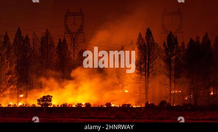 Smoke rises from a forest fire near electrical high voltage transmission lines Stock Photo