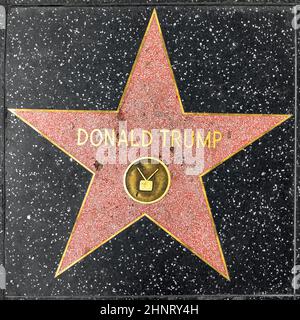 Close up of President Donald Trump's recently repaired star on the Hollywood Walk of Fame on Hollywood Boulevard, which has been vandalized several times Stock Photo