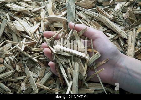 wood chips to generate heat Stock Photo