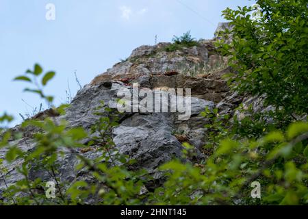 geological landscape of former limestone quarry and current nature reserve Kadzielnia in the city of Kielce in Poland Stock Photo