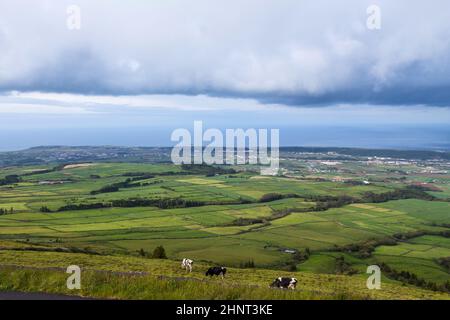 Top view of farm fields in the Terceira island in Azores, Portugal Stock Photo