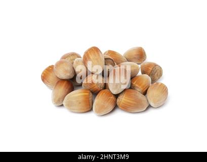pile of hazelnuts in shell on white isolated background Stock Photo