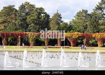 Szczytnicki Park and Wroclaw Pergola with colorful leaves of virginia creeper on a sunny day, Multimedia Fountain, Wroclaw, Poland Stock Photo