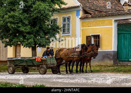 horse and carriage in the Village of Viscri in Romania Stock Photo