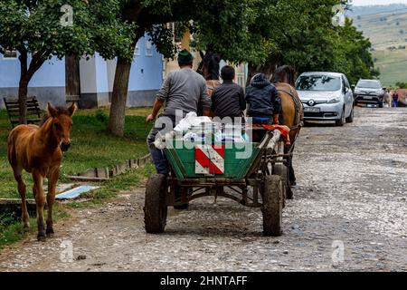 horse and carriage in the Village of Viscri in Romania Stock Photo