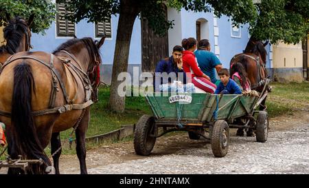 horse and carriage in the Village of Viscri in Romania Stock Photo