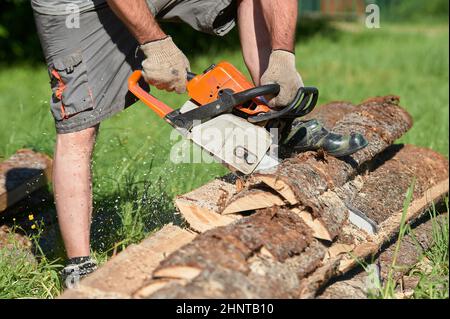 sawing timber with a chainsaw on a sunny day in summer Stock Photo