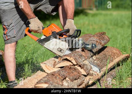 sawing timber with a chainsaw on a sunny day in summer Stock Photo