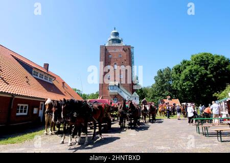 Island, Neuwerk Stock Photo