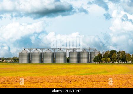 Modern granary elevator. Silver silos on agro-processing and manufacturing plant for processing drying cleaning and storage of agricultural products, Stock Photo