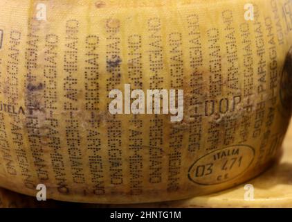 Whole wheel of Parmigiano Reggiano cheese Stock Photo