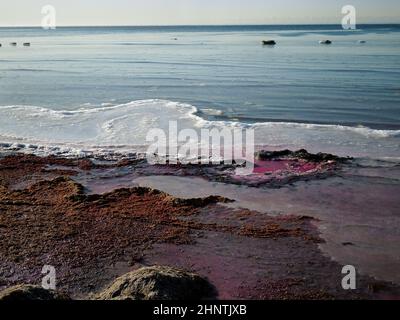 Purple ice on the shore of the Caspian Sea. Kazakhstan. Mangistau region. 22 November 2019 year. Stock Photo