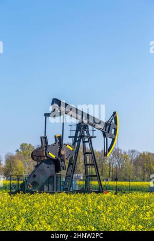 Production of mineral oil on the german island Usedom Stock Photo