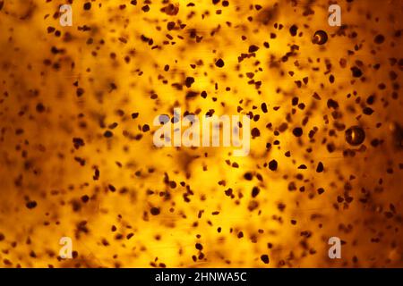 abstract golden background bubbles rare shapes different Stock Photo