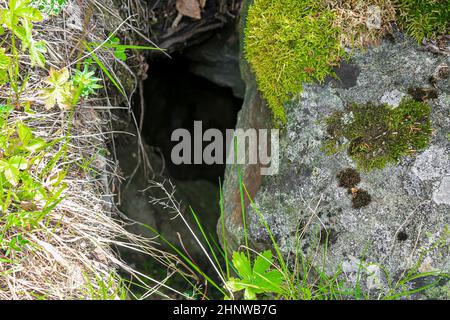 Hole in the rock between stones with moss in Hemsedal, Norway. Stock Photo