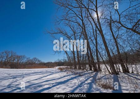 Winter Sun Hiding Behind Frozen Trees in Spring Lake Preserve in illinois Stock Photo