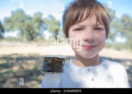 Child boy with sushi maki on fork. Outdoors background Stock Photo