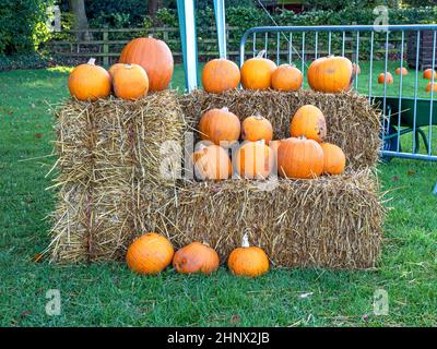 Pumpkin display arranged on haystacks in a green farm field Stock Photo