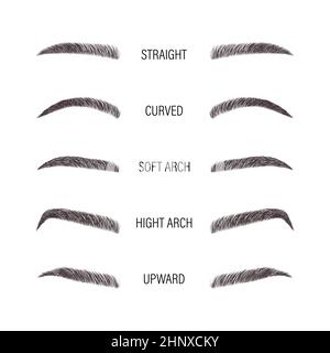 Female eyebrows. Various forms and types. Arch brows shapes. Linear vector Illustration in trendy minimalist style. Brow bar logo Stock Vector