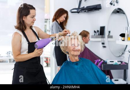 Stylist using hair dryer for senior woman Stock Photo