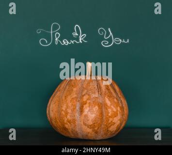 Beautiful Festive Vintage Background. Big Orange Pumpkin Isolated on Green Backdrop with Text, Thank You. Traditional Thanksgiving Day Decoration. Stock Photo