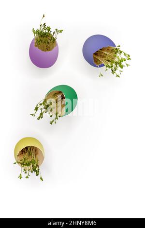 Multi-colored Easter eggs with sprouted green sprouts, flying and levitating on a white background. Stock Photo