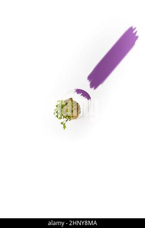 Painting white Easter egg during flight and levitation. White Easter egg with sprouted green sprouts. Flying and levitation of Easter egg on a white Stock Photo