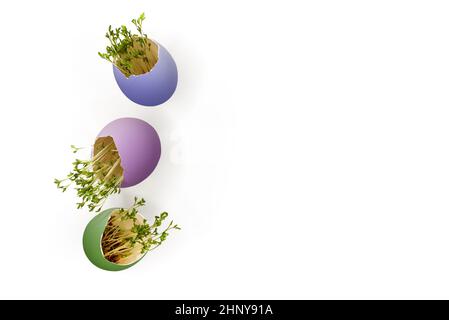 Multi-colored painted Easter eggs with sprouted green sprouts on a white background with copy space for greetings and wishes Stock Photo