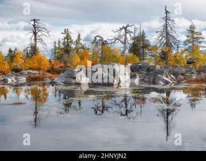Living and dead twisted trees are reflected in the water of a lake at the top of the mystical mountain Vottovaara in Karelia in northern Russia, in au Stock Photo