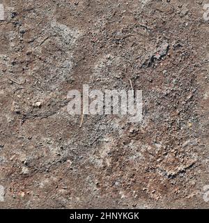 High resolution seamless texture of a dry acre grounds with cracks Stock Photo