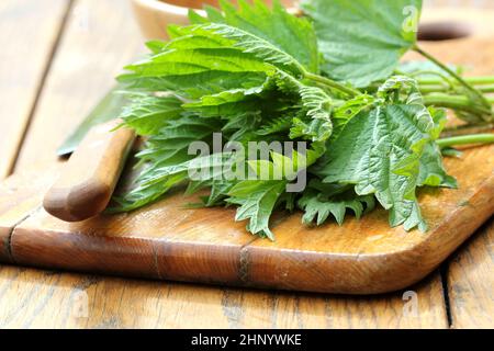 stinging nettle on a cutting board Stock Photo