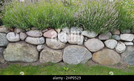 Friesenwall, Friezes wall, consists of stacked boulders from the Ice Age. Stock Photo